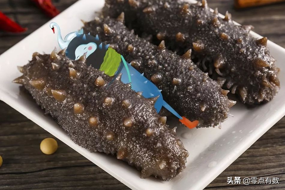 威海海钓兽:这座港口之城,不止有海产这么简单丨百城神兽图鉴