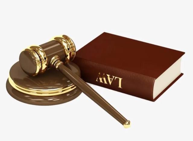 中国养狗的规矩,全国最严养狗条例