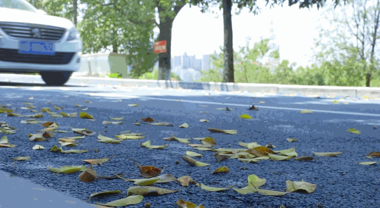 pr视频马赛克制作教程,pr怎么做马赛克跟随效果