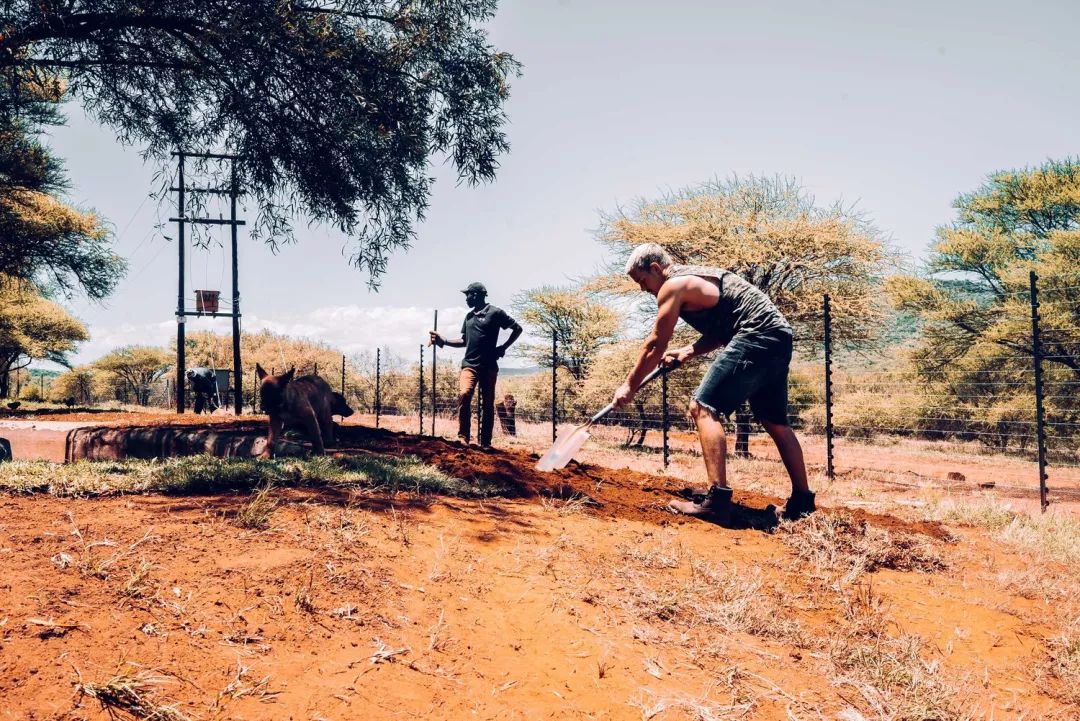 放弃百万年薪，去非洲撸猫？长腿版小李子引63w人舔屏：看我看我