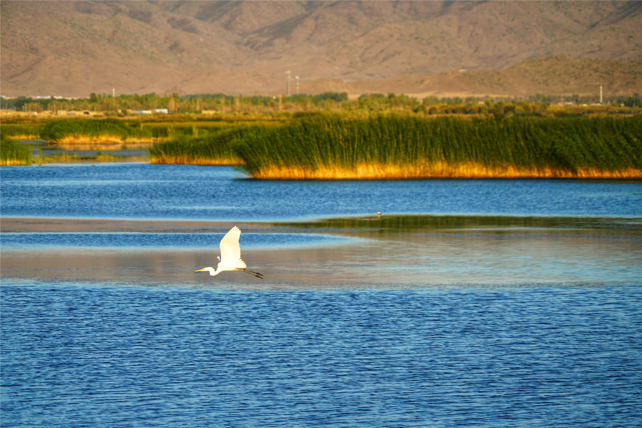 7月新疆可可托海,冬天去可可托海有什么值得看