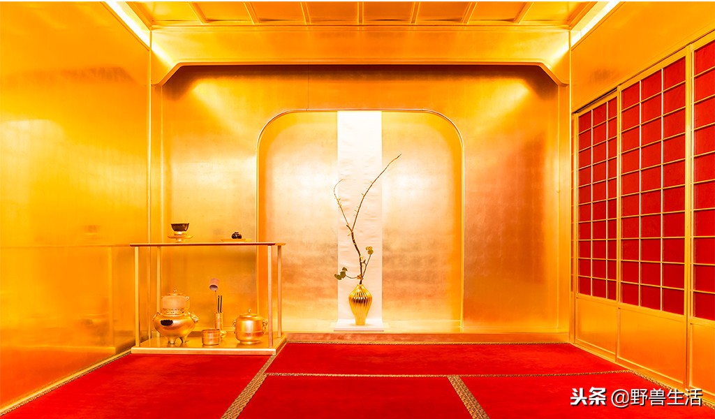 养胃抗衰老刮油的茶,喝这个茶竟能抗衰老