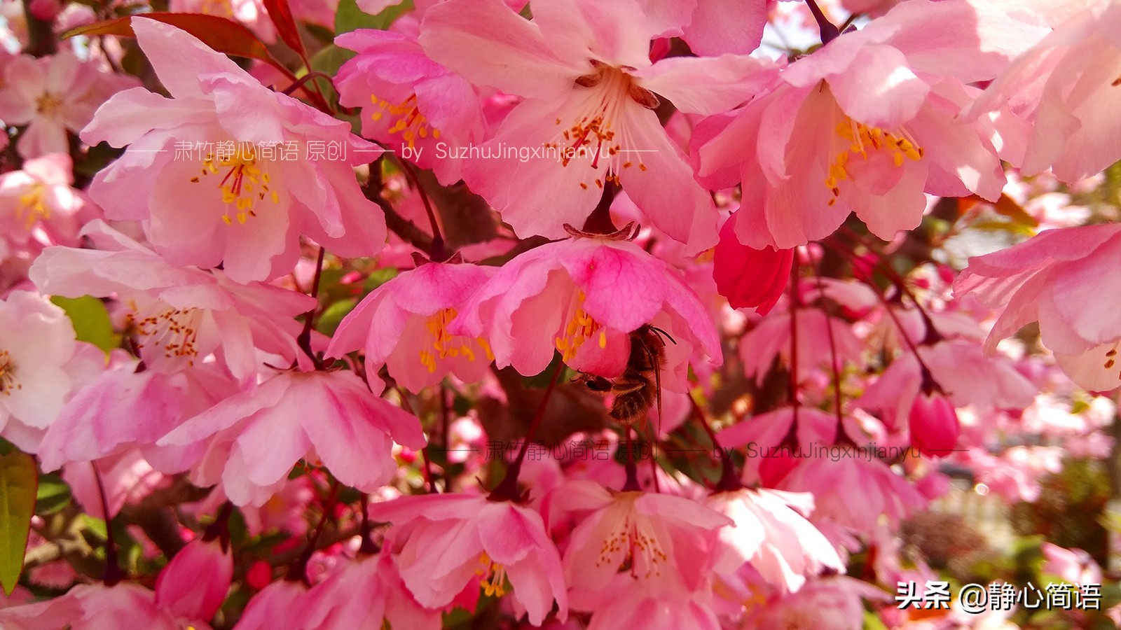 危机公关带来的启示,危机公关好处