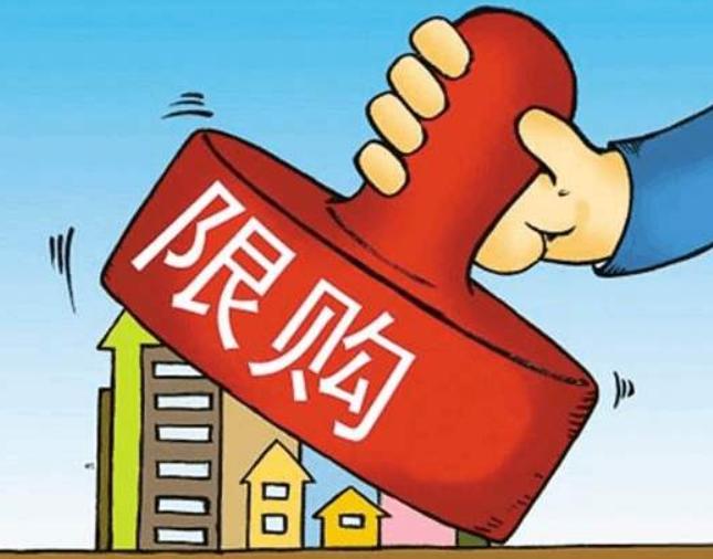 崇明岛大牌开发商,崇明岛的小镇