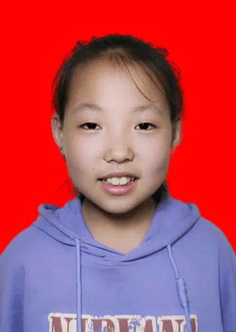 楚雄市新时代好少年评选,2019洛龙区龙富小学