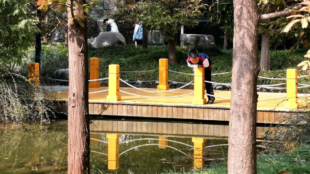 潍坊瀚声学校公开课,潍坊瀚声艺术节