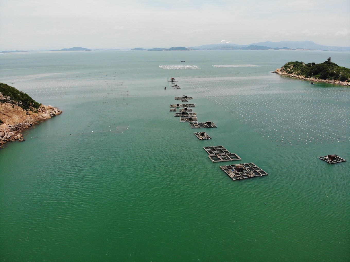 南澳岛看海完整版,南澳岛看海解读