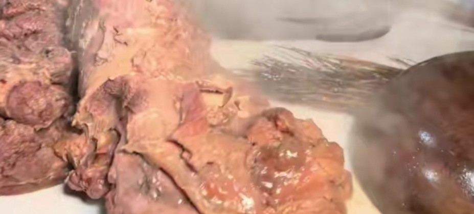 农村有名的驴肉馆,驴肉一斤100元