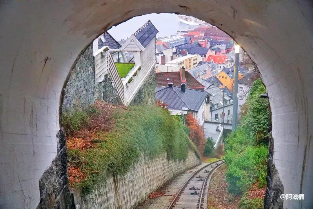 为了吃最贵的鱼你们会驱车多远,世界上最难吃的鱼青花鱼