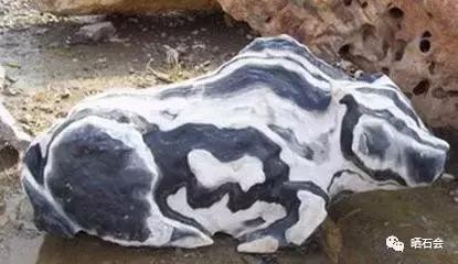 八大奇石造假手段,到底什么样的石头才算真正的奇石