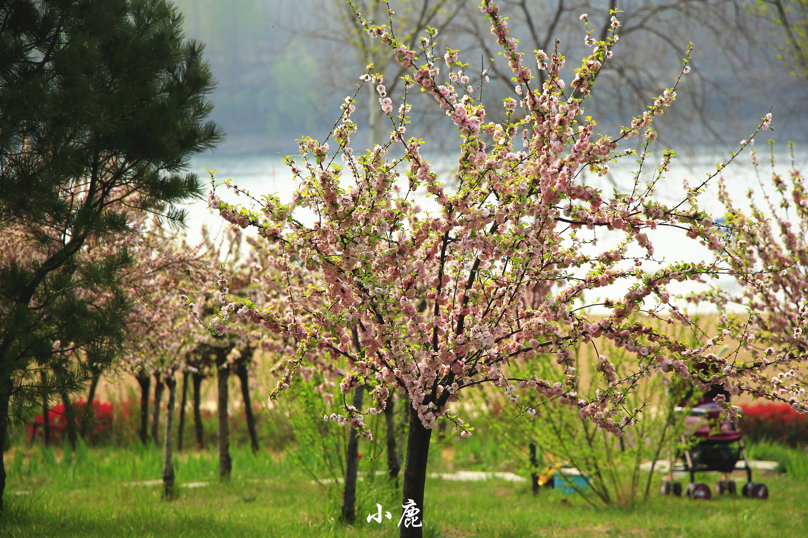 河南看海的地方旅游景点,河南看海旅游景点推荐