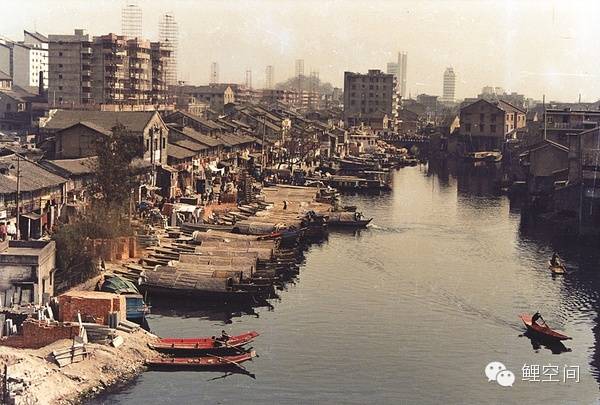 140年前的温州原来长这样！家乡的前世今生.