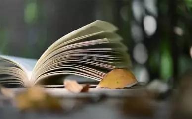 新概念英语青少版和经典版的区别,新概念英语第一册相当于什么水平