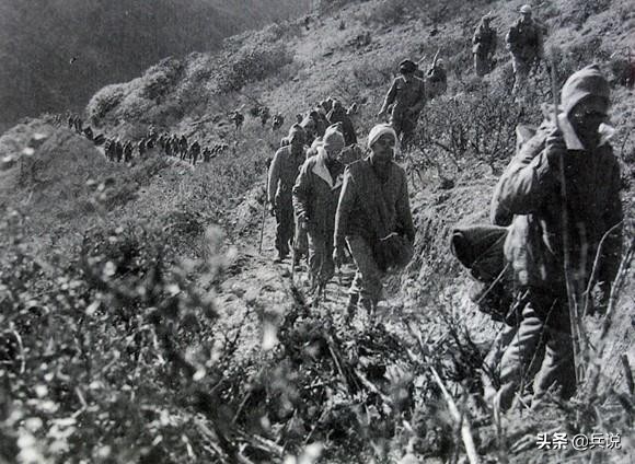 对印反击战,毛主席问张国华:听说那边有蛇?可以学广东人
