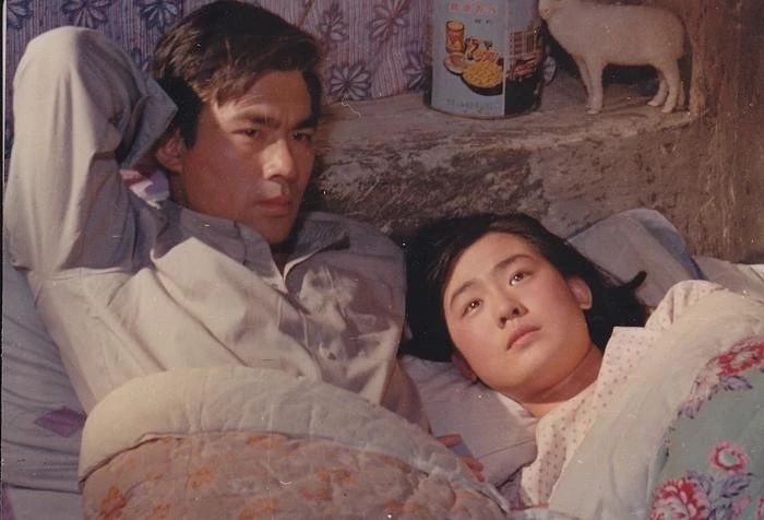 牧马人女主角丛珊怎么成了法国人,牧马人丛珊最漂亮的一部电影