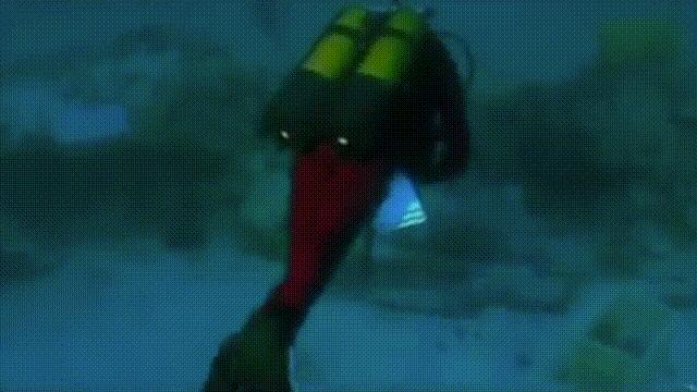 南海惊现神秘古沉船 (中国在南海发现的沉船)