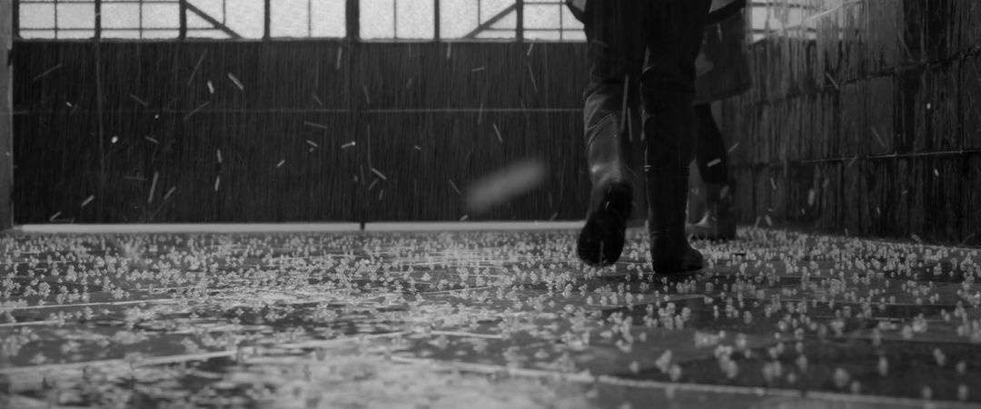 拿过奥斯卡最佳导演三次,拿奥斯卡最佳导演奖