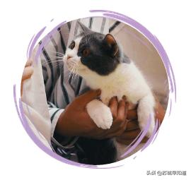 苏州平江路万达广场,苏州万达广场平江店