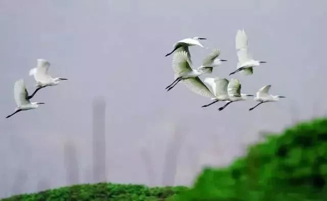 北仑旅游攻略大全集,北仑旅游攻略