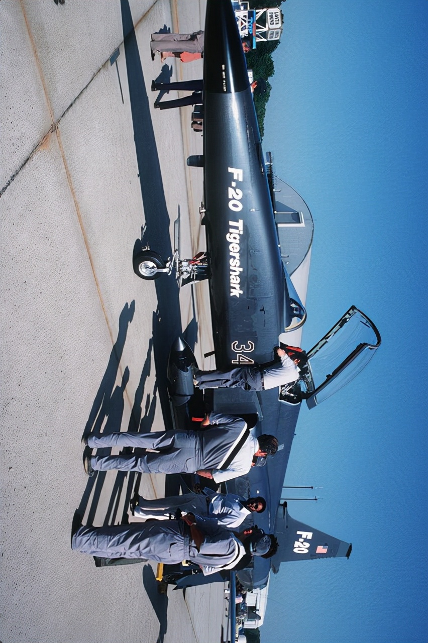 极富悲剧色彩的虎鲸,虎鲨悲剧