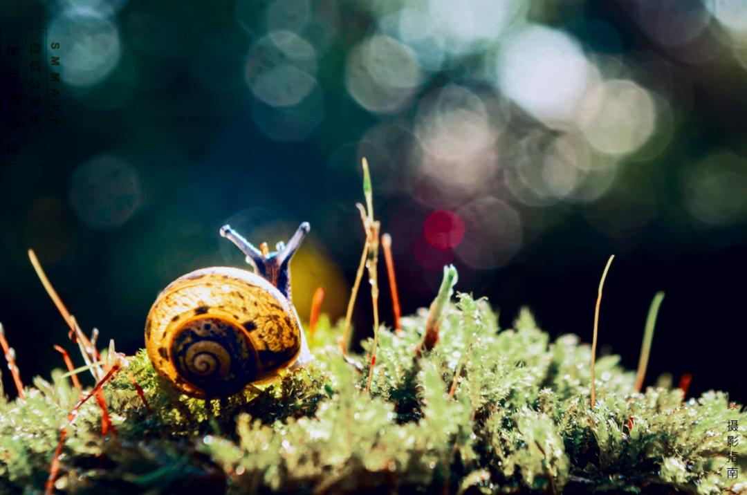 单反相机镜头有什么作用,单反相机各种镜头的使用