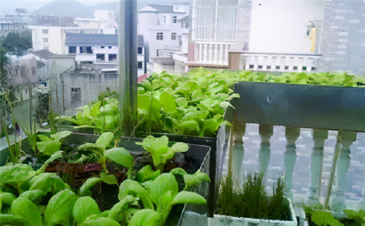 中国的地理优势和意义,中国地理位置是不是世界上最好的