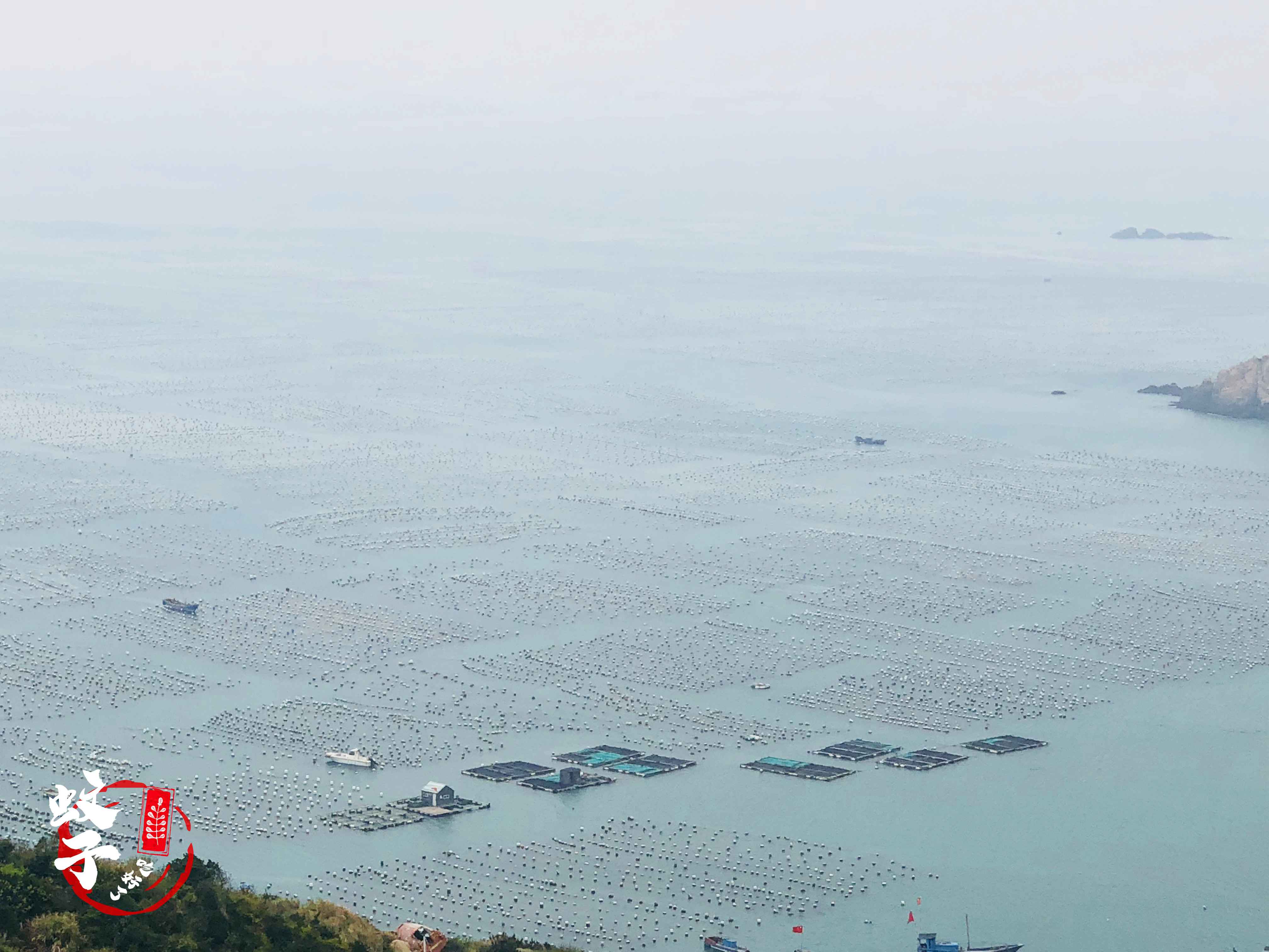 因为各种贝类美食，甘愿远嫁离陆地7小时船程的小岛