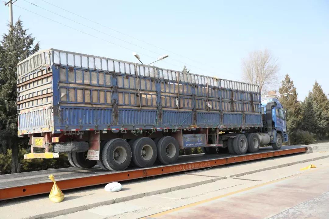 “内蒙古粮仓”通辽市：粮食增产又增收