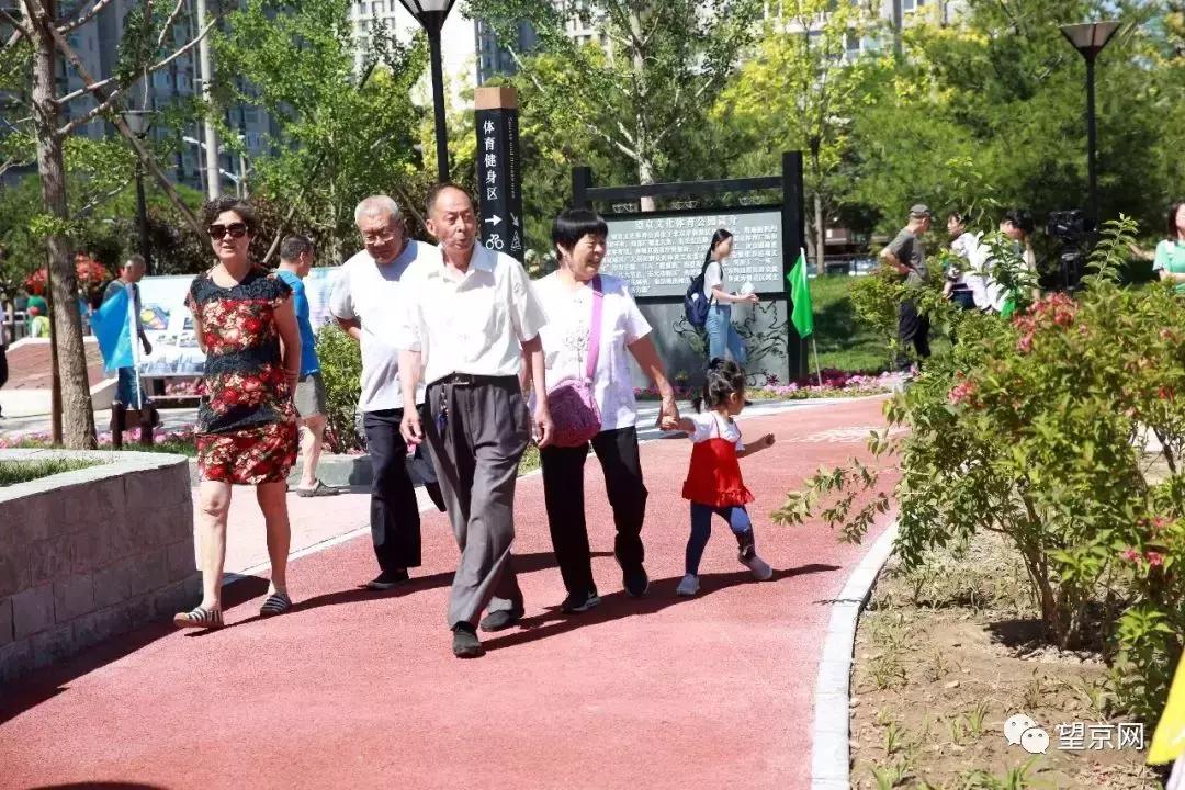 期待公园的盛大开放,期待体育公园的建成