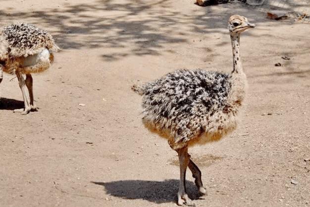 西安秦岭温泉度假山庄,西安桃花源休闲山庄