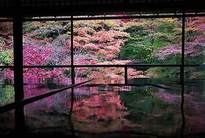 一句话学日语入门,日语基础入门五十音图