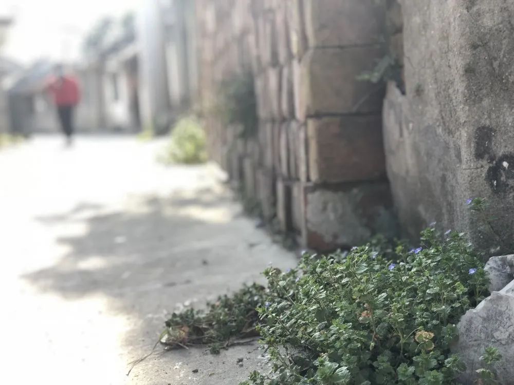 刘桥老街在哪里,郑州刘桥老街