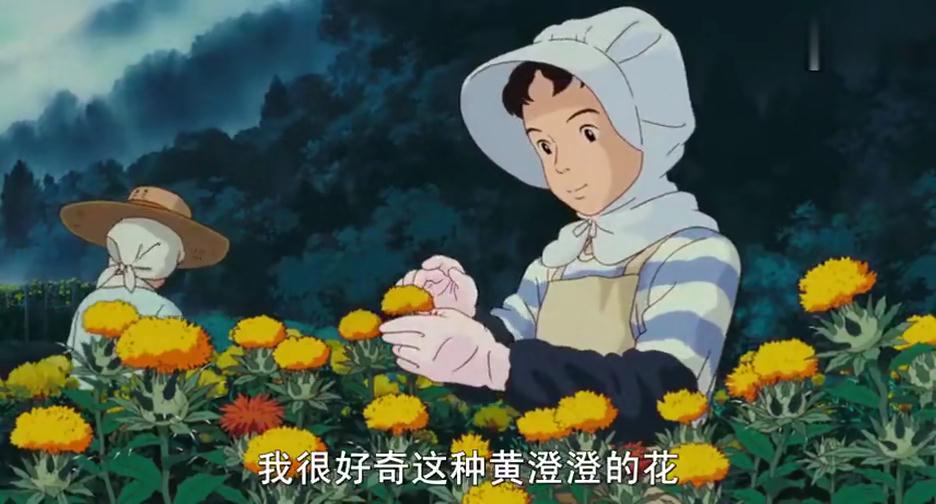 宫崎骏笔下的红花到底是个怎样的植物？