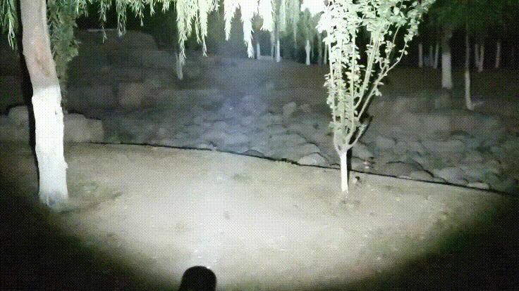 户外手电也能杀菌?FenixLD32手电化身成为抗疫EDC