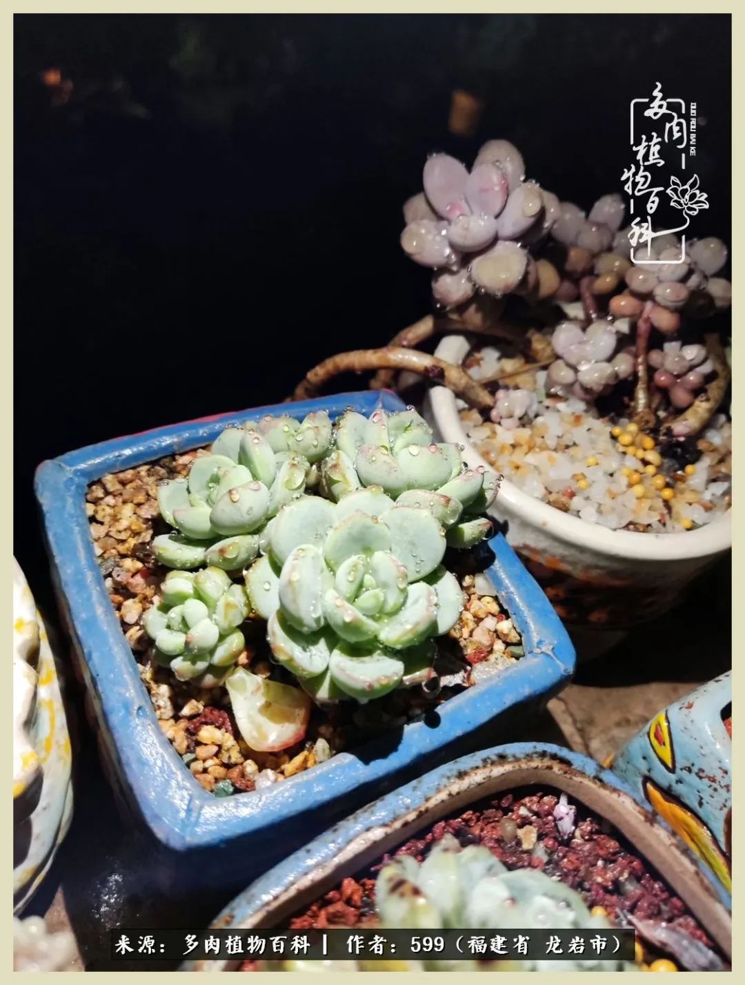 所有的热爱都不遗余力,所有的忙碌都是因为热爱