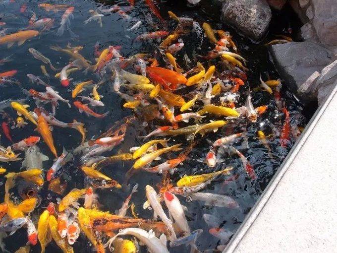 上海旅游攻略必去景点大全,上海玩耍景点推荐