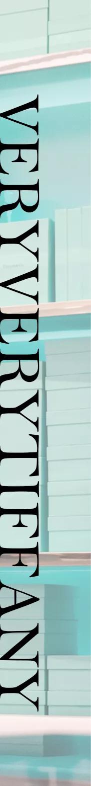 蒂芙尼旗舰店,蒂芙尼官方旗舰店开业