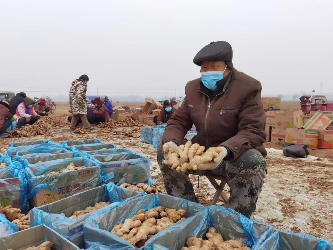 每亩净收益8万以上,每亩利润