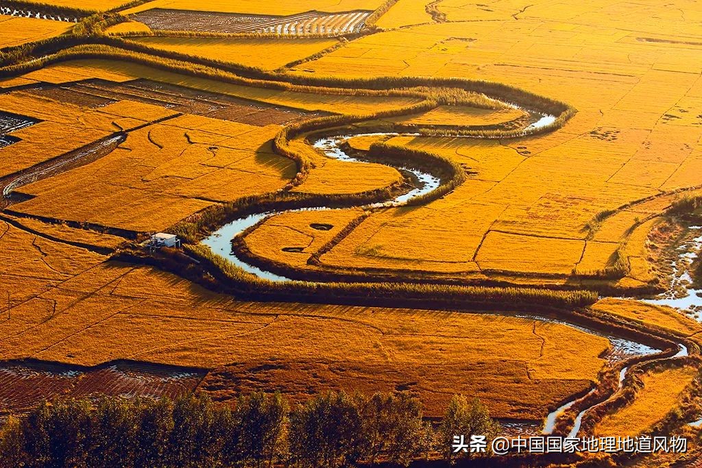 黑龙江和山东谁是农业大省,黑龙江和河南谁是第一粮仓