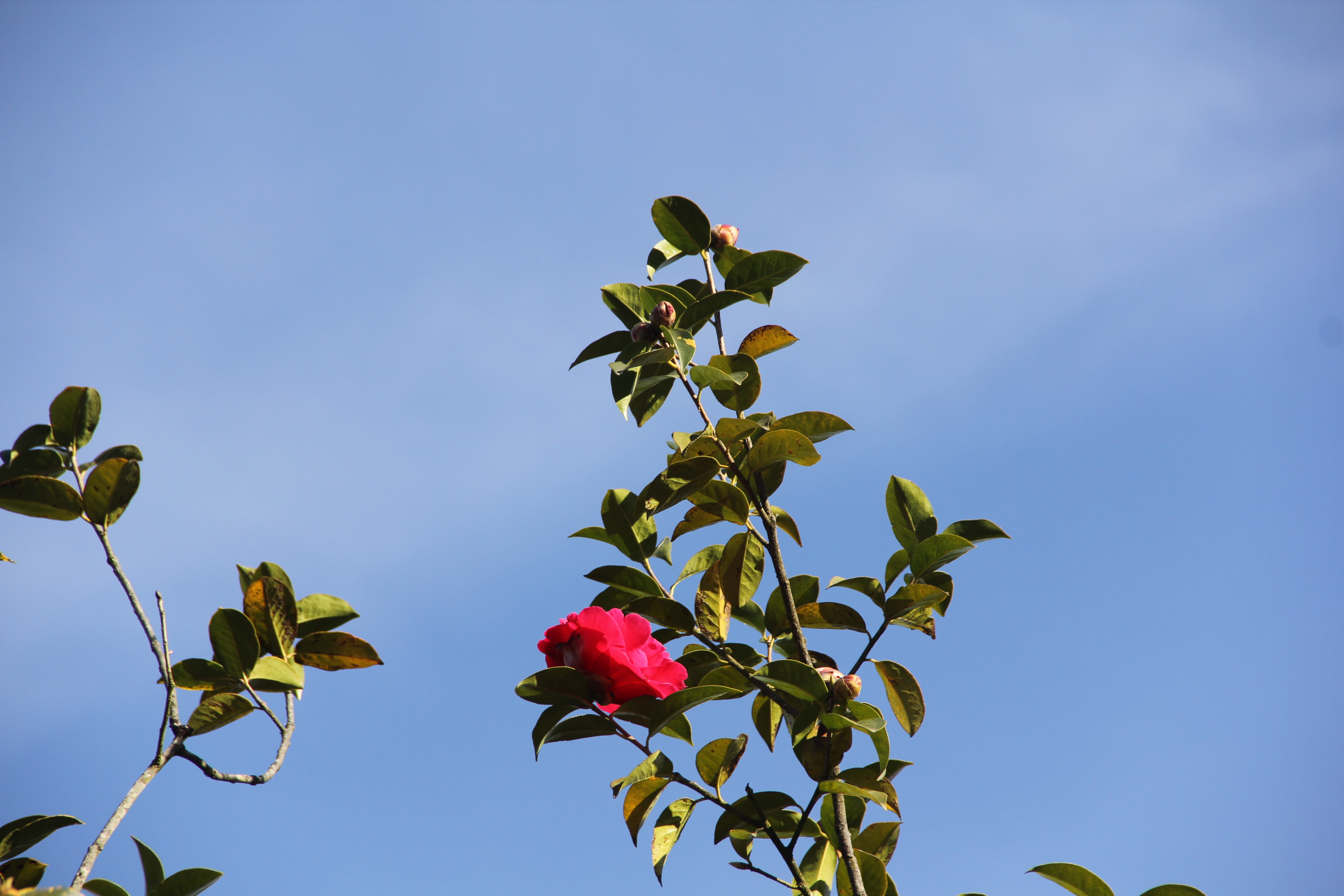 腾冲旅游注意什么,腾冲旅游攻略推荐