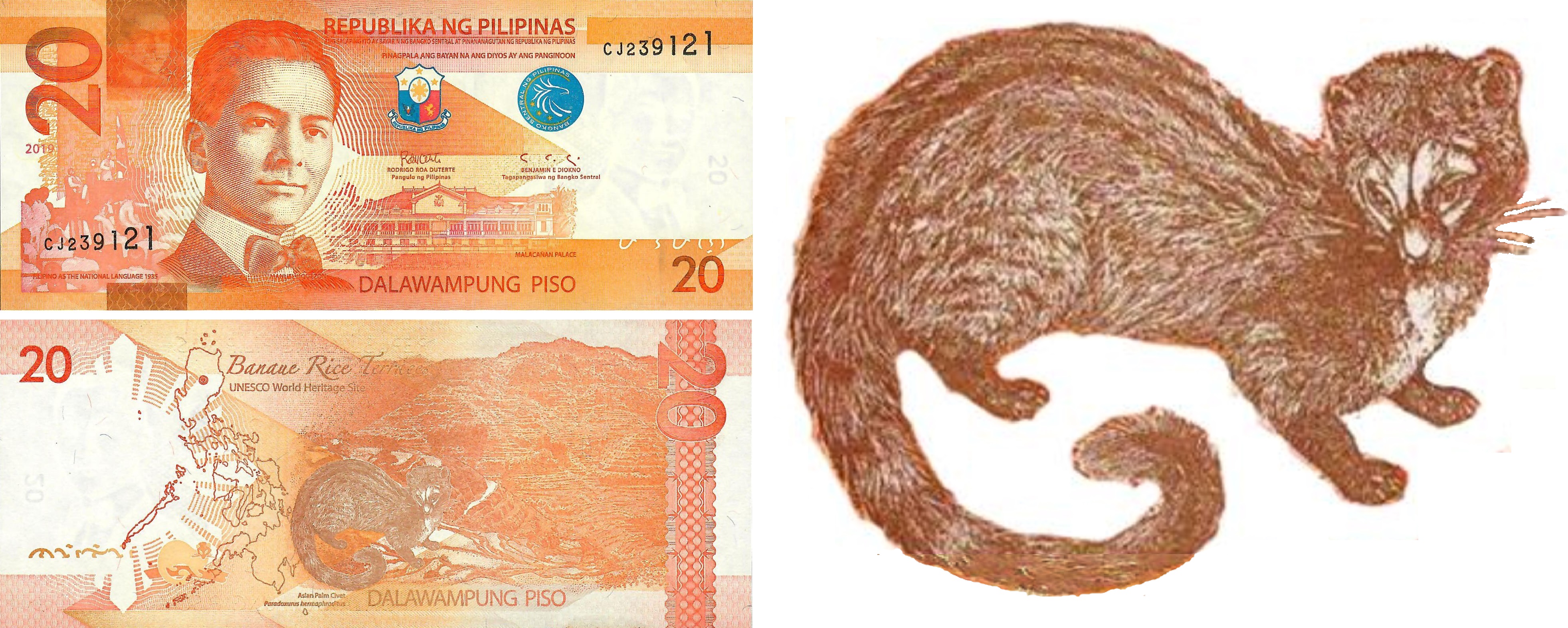 菲律宾十大必买品,菲律宾特产购物必买清单