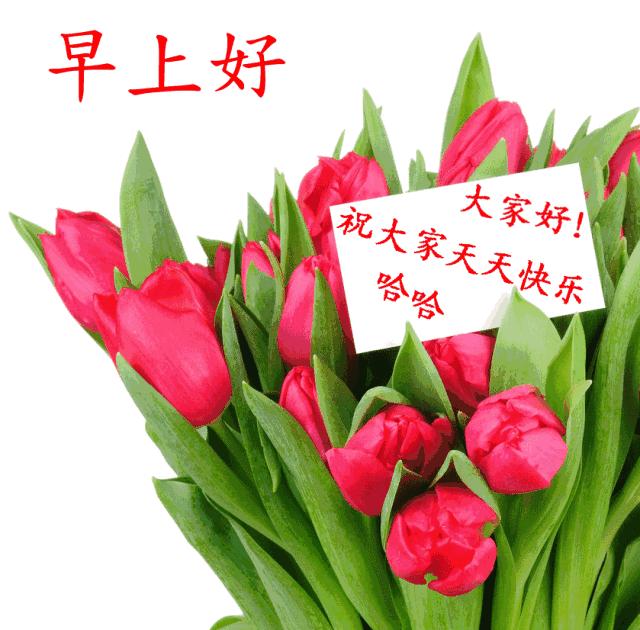 六月最近的早上好祝福语动态图片,新的五月份早上好问候图片