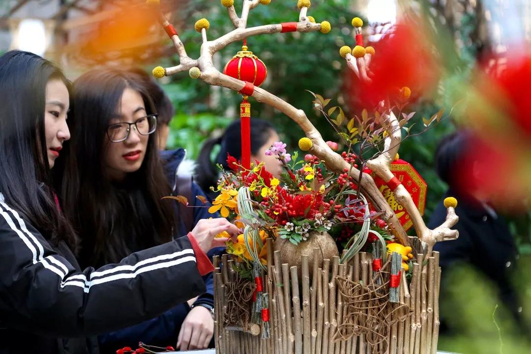北京年宵花花卉嘉年华,北京迎春年宵花展已开幕