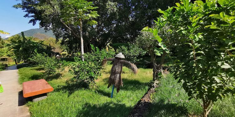 三亚红树林有亲子活动,三亚红树林和海韵