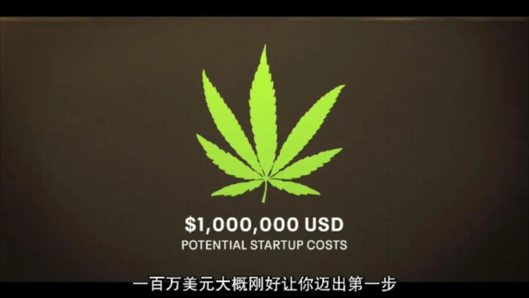 为了这部敏感剧，她差点把命丢了