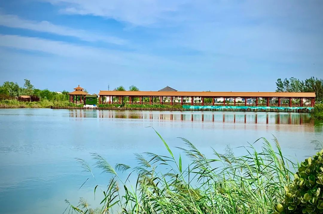 践行使命担当谱写青春华章,践行嘱托争出彩