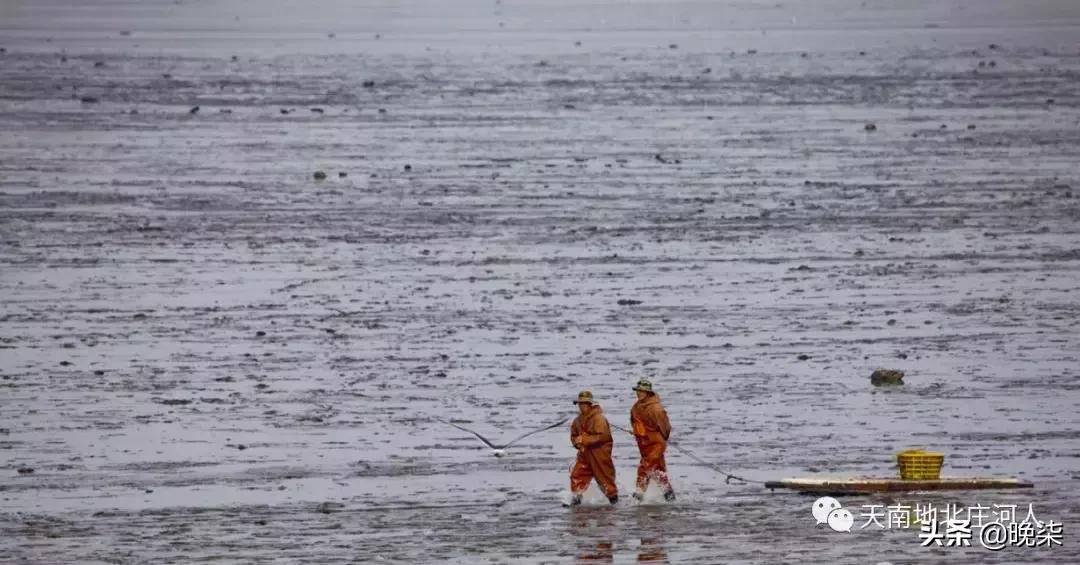 大连庄河赶海排名第一名,庄河赶海网红视频