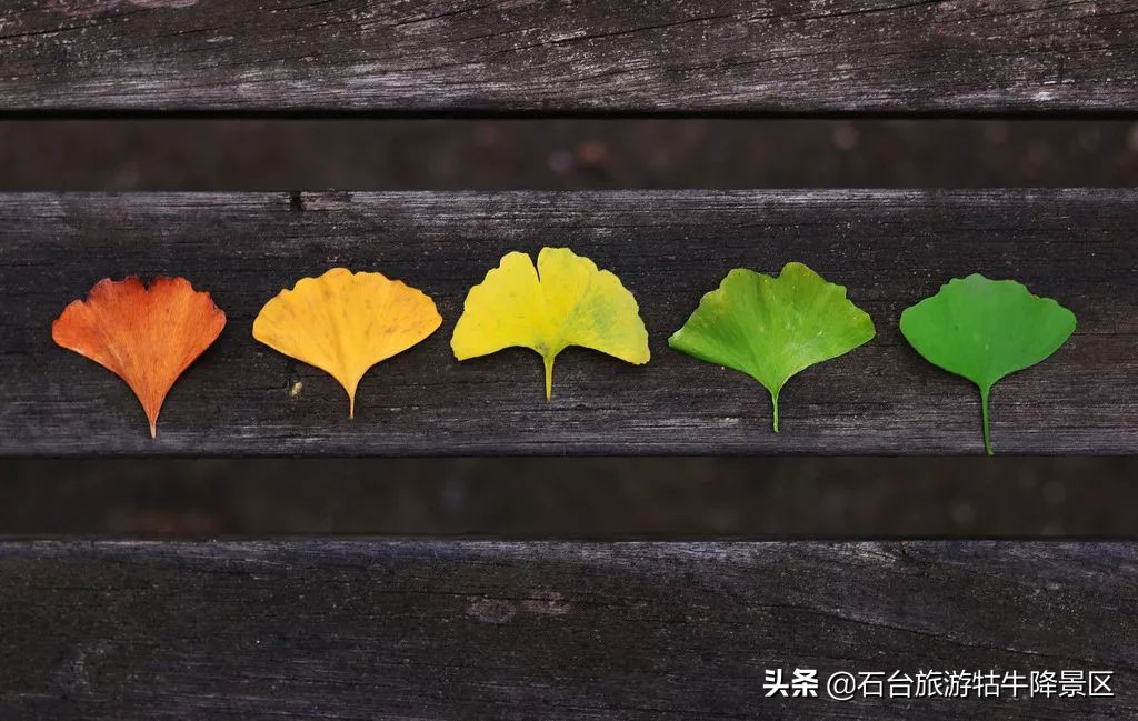 如何介绍牯牛降,牯牛降介绍简介