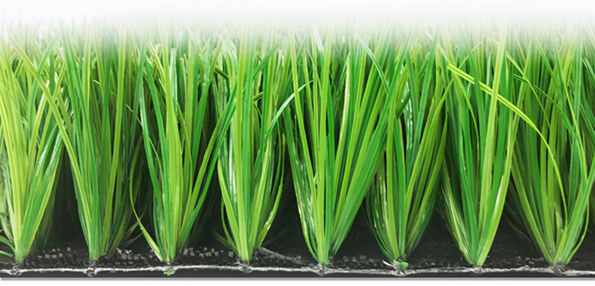 秘鲁十大足球场,秘鲁甲级联赛冠军