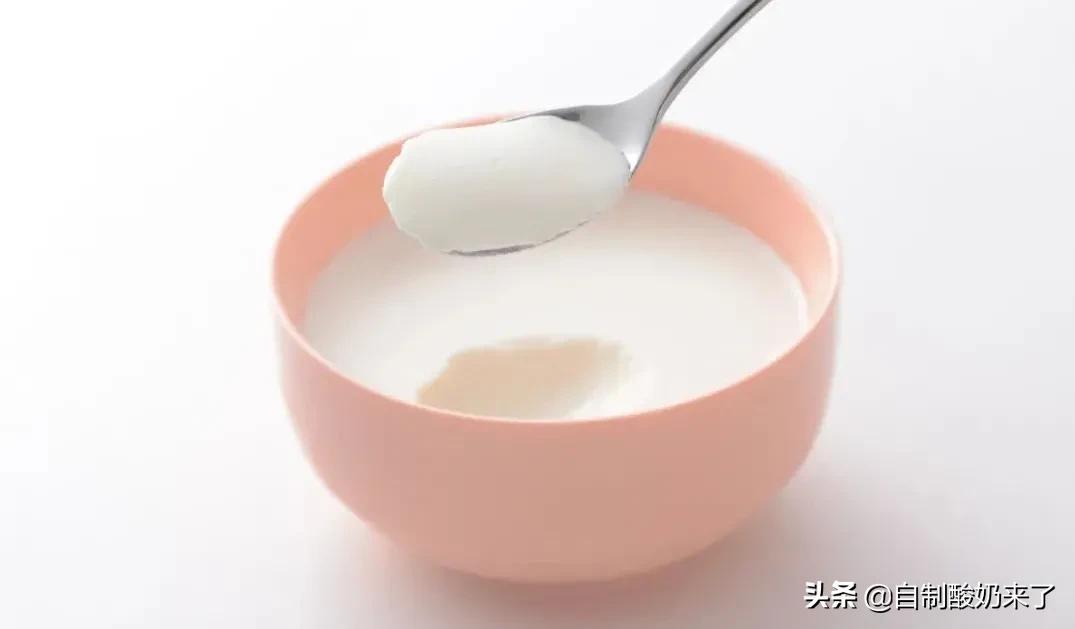 酸奶发酵好怎么没味道,酸奶发酵失败牛奶有点凉了怎么办